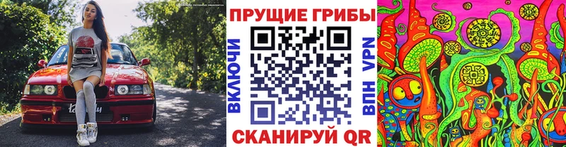 Купить закладки  Грозный  Псилоцибиновые грибы ЛСД 